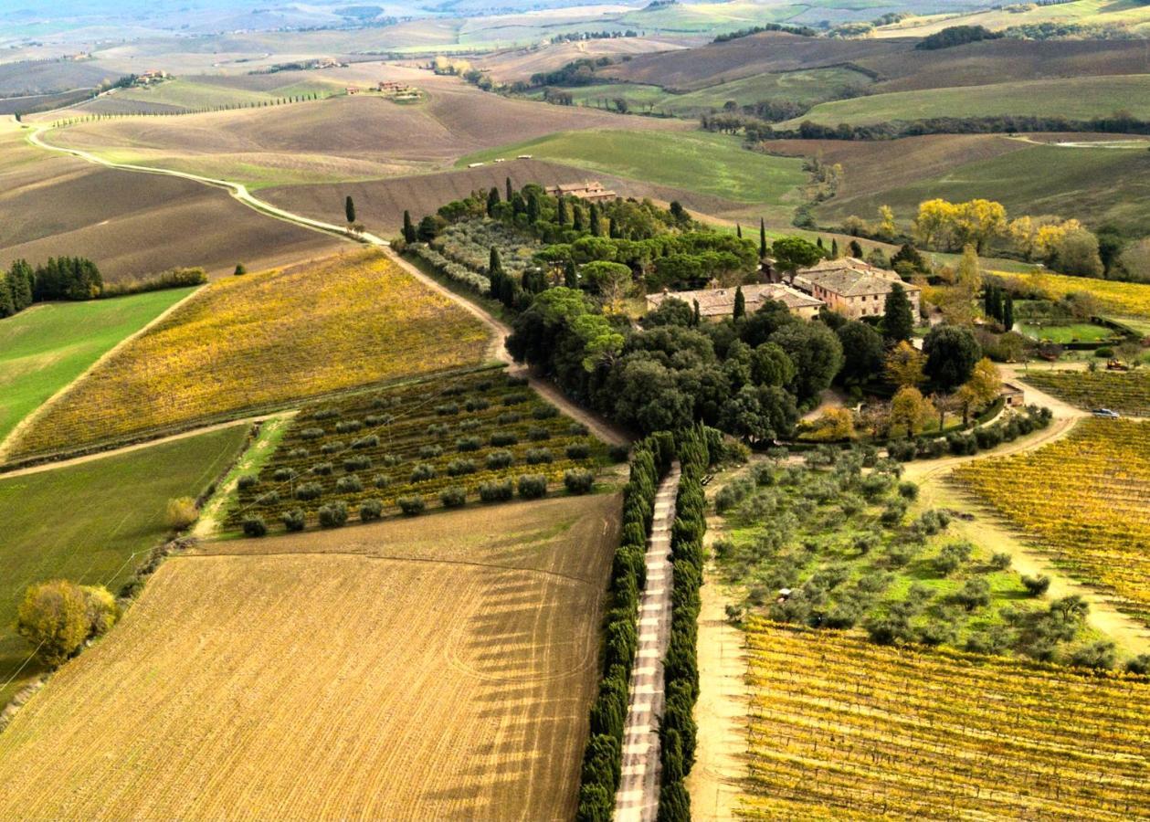 Villa Buonsignori - Wine & Olive Oil Farm Corsano  Kültér fotó