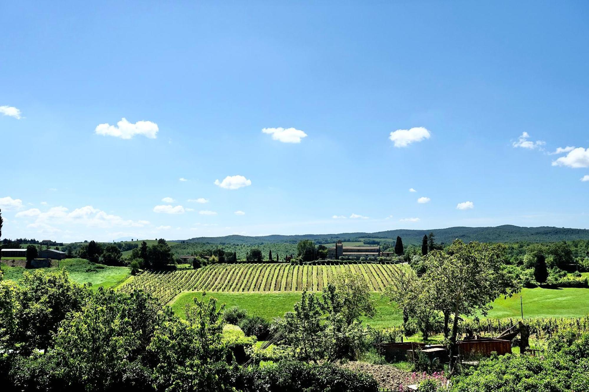 Villa Buonsignori - Wine & Olive Oil Farm Corsano  Kültér fotó